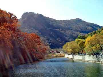 澳门天天免费精准大全，河北图书批发市场